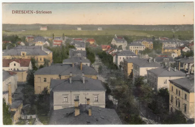 AK DRESDEN Striesen um 1910 Blick über die Dächer der Stadt     ( 40