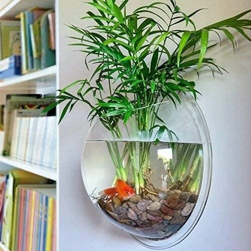 Creative Acrylic Hanging Wall Mounted Fish Tank Hanging Bowl Aquarium decoration 7