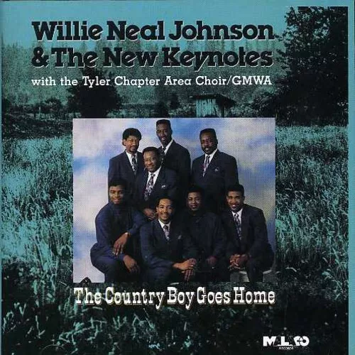 Audio Cd Willie Neal Johnson & The Gospel Keynotes - The Country Boy Goes Home