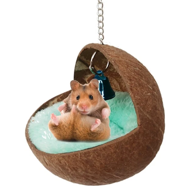 Criceto amaca cocco piccolo nido con cuscinetto di peluche giocattolo oscillante 3