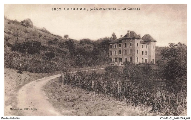 Carte Postale Ancienne – Dagneux (près Montluel) – La Route Nationale – Collection