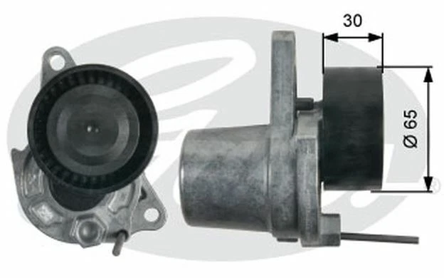 GATES Galet tendeur (courroie d'accessoire) pour RENAULT SCÉNIC MEGANE T39251