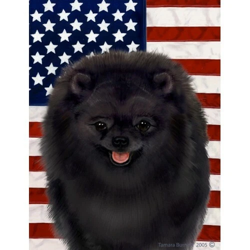 Patriotic (D2) Garden Flag - Black Pomeranian 322551