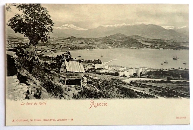 Cpa Ajaccio / Le Fond Du Golfe / Corse Du Sud 2A