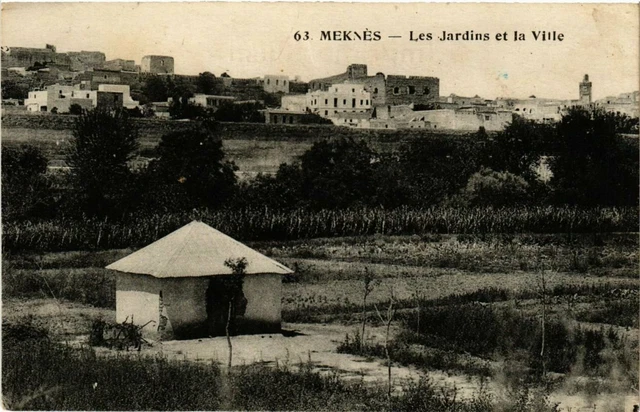 CPA AK MAROC MEKNES - Les Jardins et la Ville (280769)