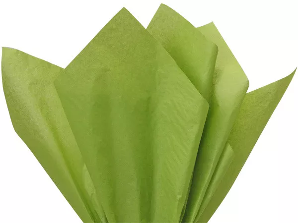 Oasis Green Tissue Paper 20 Sheets 15x20" Christmas Holiday Gifts Weddings Poms