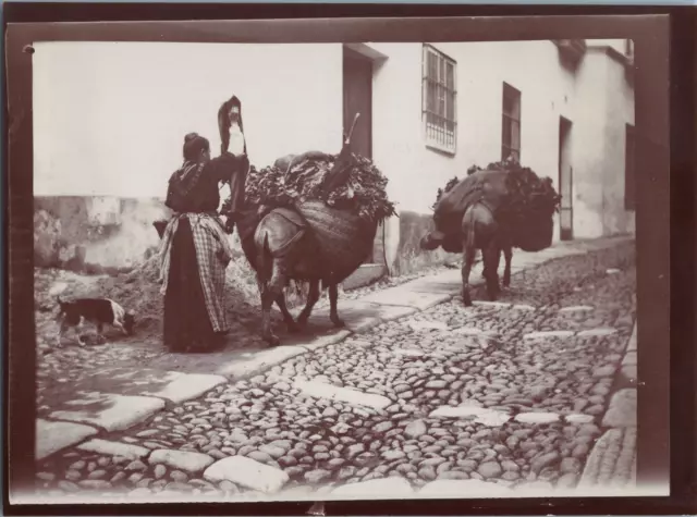 Espagne, Cordoue, Vue d&#039;une ruelle, Vintage print, circa 1900 Tirage vintag