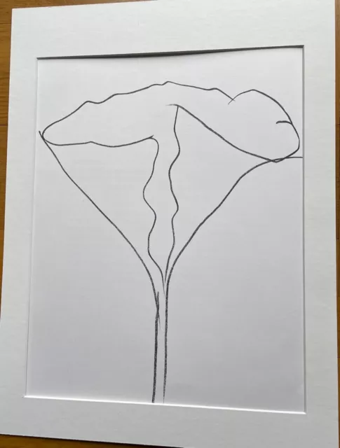 Ellsworth Kelly; Lotosblüte" Original-Lithographie 1982