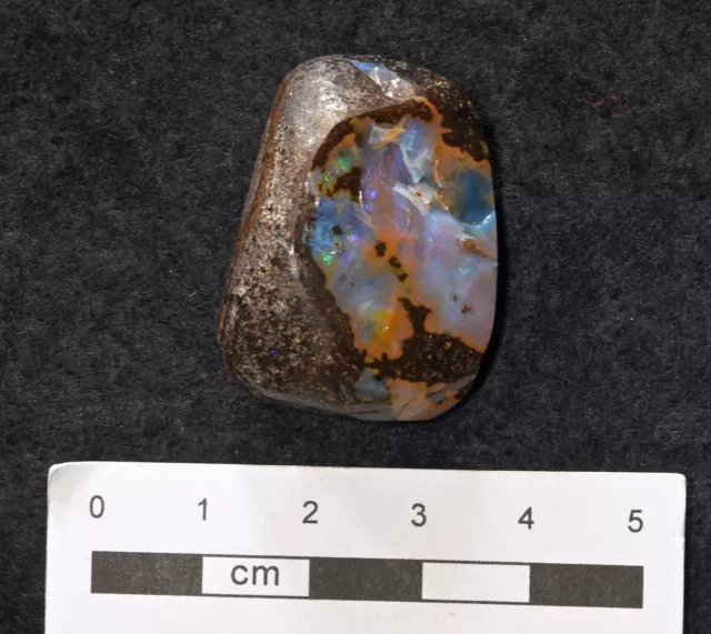 Boulder-Opal