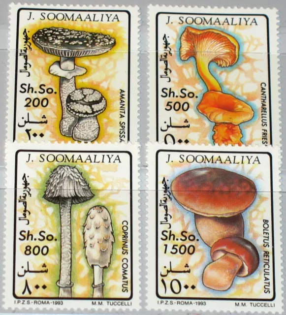 SOMALIA 1993 468-71 Pilze Flora Mushrooms Fungus Wulstling Pfifferling MNH