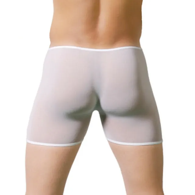 MEN'S MESH BREATHABLE Trunks Sexy Boxer Briefs Transparent Underwear  Underpants £5.36 - PicClick UK
