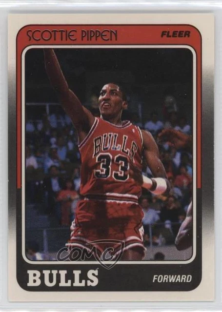 scottie pippen flight 89