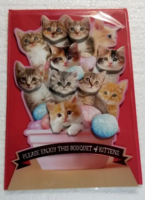 Kitten Cats Hallmark Greeting Card Bouquet of Kittens Valentine's Anyone any Age