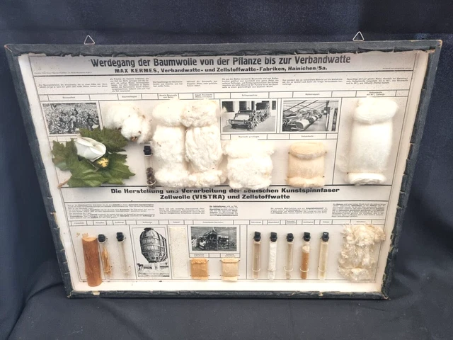 Schauglas Wandvitrine altes Schulungs-Lehrmittel von Baumwolle bis Watte um 1930