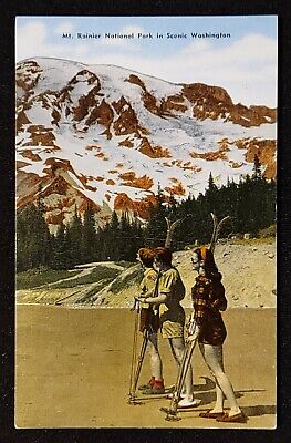 Postcard of Skiers in Summer. Mt. Rainier, Washington. 1940's