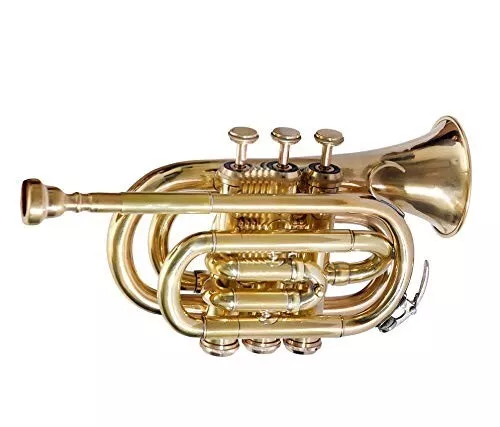 Brass Bb -POCKET TRUMPET+FREE HARD -CASE+Mouthpiece BRS MINI HORN