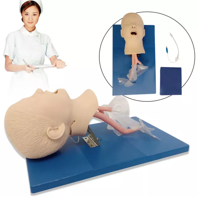 Intubation Manikin Study Teaching Training Model Airway Management Trainer USA