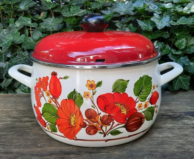 Topf Marmite Pot de Spaghetti Avec Couvercle Églantier Roses Fleurs 2