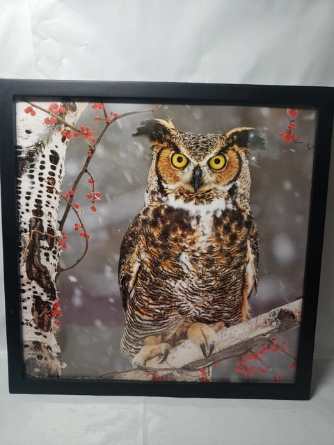 Framed winter owl Calendar Picture 13" square