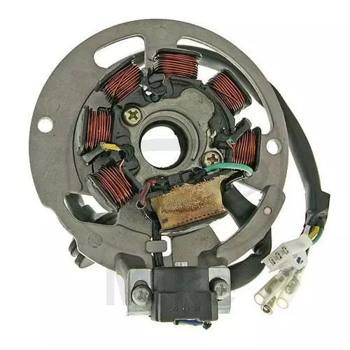 Lichtmaschinenstator für Sachs SX1 50 2007-2010