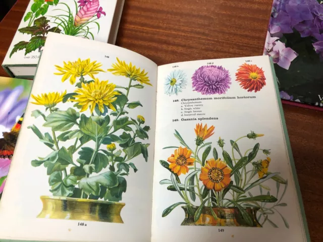 Konvolut von 10 wunderschön illustrierten Garten- & Pflanzenbüchern 3