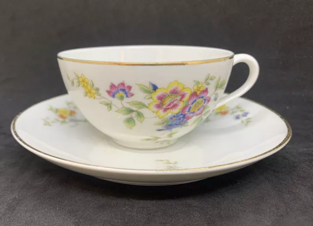 Royal Bavarian Hutschenreuther Selb Floral Teacup and Saucer set