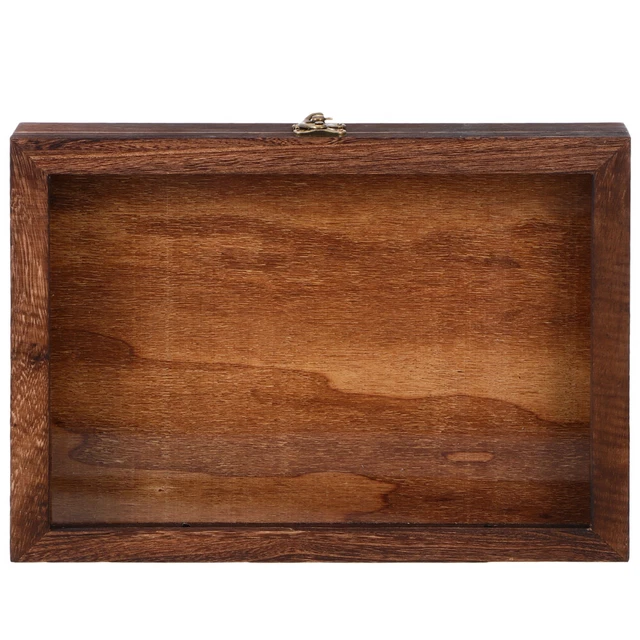 Boîte à Insectes En Verre Avec Couvercle - Vitrine Pour Collection Entomologie - Terrarium