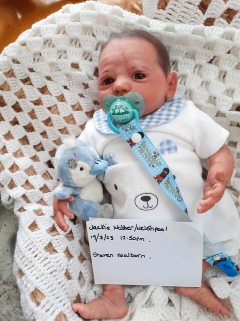 reborn baby dolls pre owned
