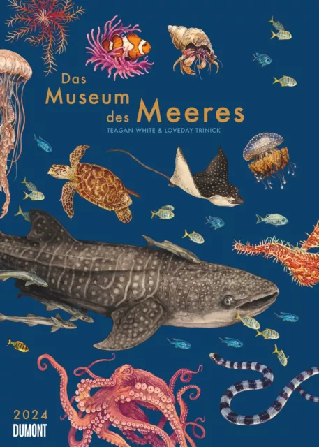 KALENDER 2024 - Das Museum des Meeres 2024- 50 x 70cm EUR 39,00 ...