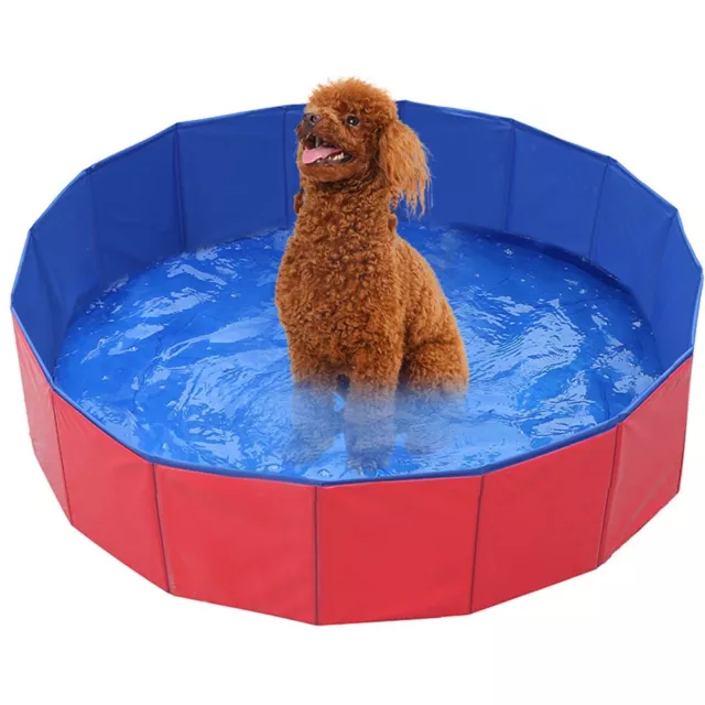 Piscine pliable pratique pour animaux de compagnie sûre et stable pour animaux