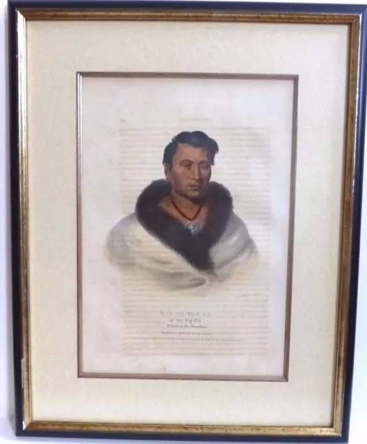 ONG-PA-TON-GA Omaha Chief-CB King McKenney & Hall Biddle/Duval 28"H FRAMED 1836
