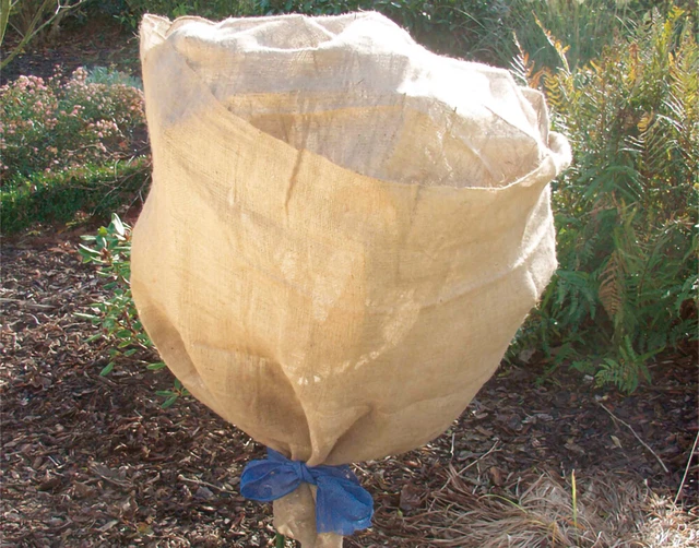Gardissimo 461620 Jute-Schutzvlies Natur (500 x 105 cm) (Winterschutz)