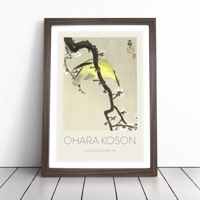 Chinese Oriole Bird On A Plum Blossom By Ohara Koson Wall Art Print Framed