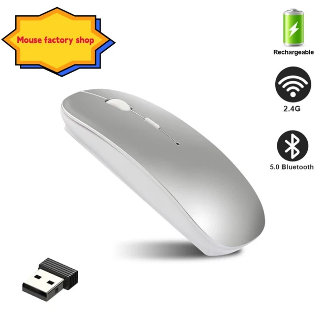 SOURIS SANS FIL RGB silencieuse Bluetooth 2,4 GHz rechargeable pour PC, iPad et EUR 4,00 - FR