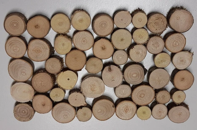 20 Astscheiben Ø 1-3 cm x 1 cm Holzscheiben Floristik Basteln Dekoration