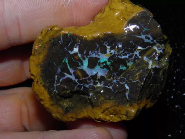 Rough Boulder Matrix Australian Opal Fossil/Specimen Slight Fires 471 Cts