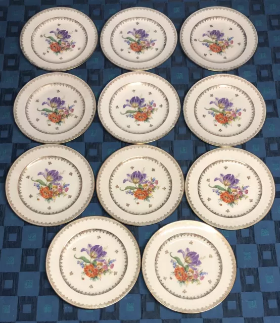 Lot De 11 Assiettes En Porcelaine Fine De Limoges Signé T.H. THÉODORE HAVILAND