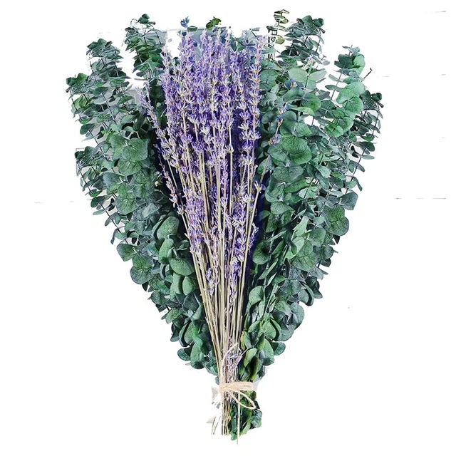 15 pezzi steli di eucalipto conservati essiccati e fiori di lavanda L3H8