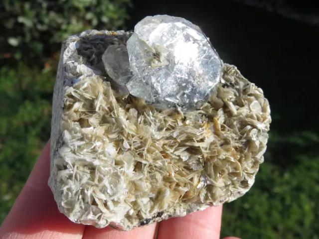 Minéraux Gros Cristal De Aigue-Marine / Goshenite Chine