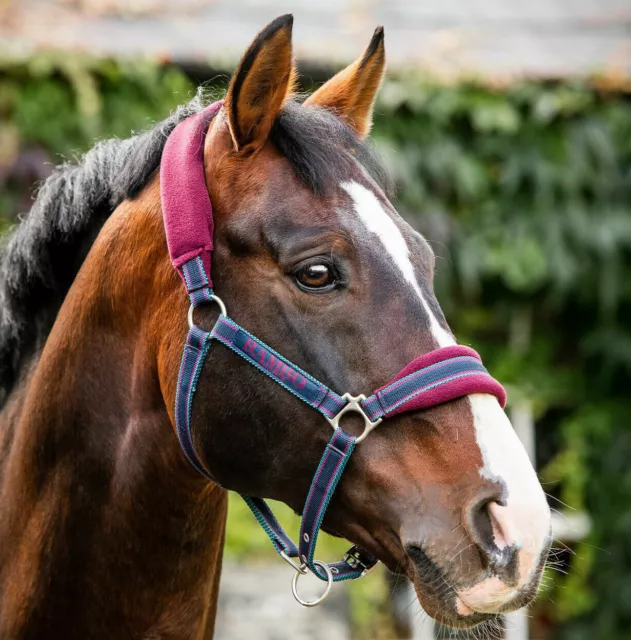 Horseware Rambo weich gepolsterter Vlies-Kopfkragen Whitney Gold/Burgund/Blaugrün P/C/F