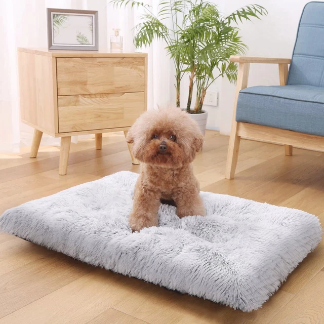 Washable Pet Dog Cat Bed Puppy Cushion House Pet Soft Warm Kennel Dog Mat Blanke 3