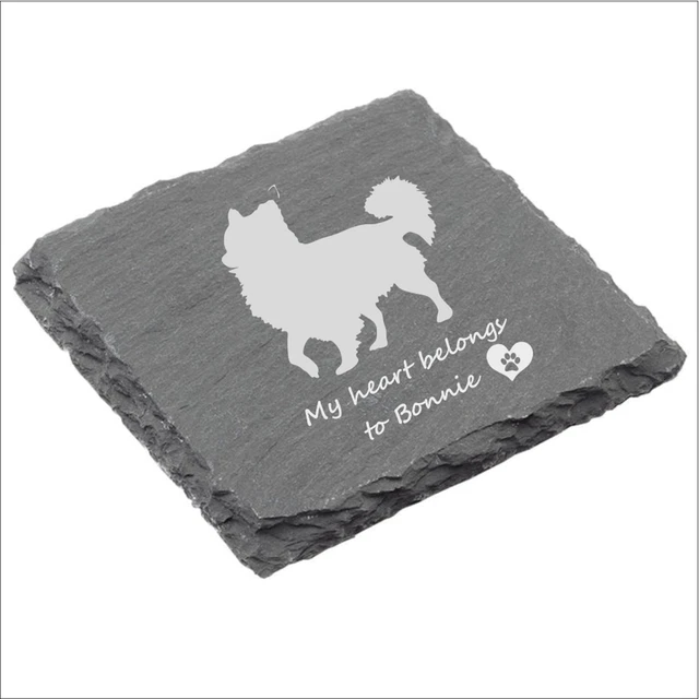 Chihuahua coaster set of 4