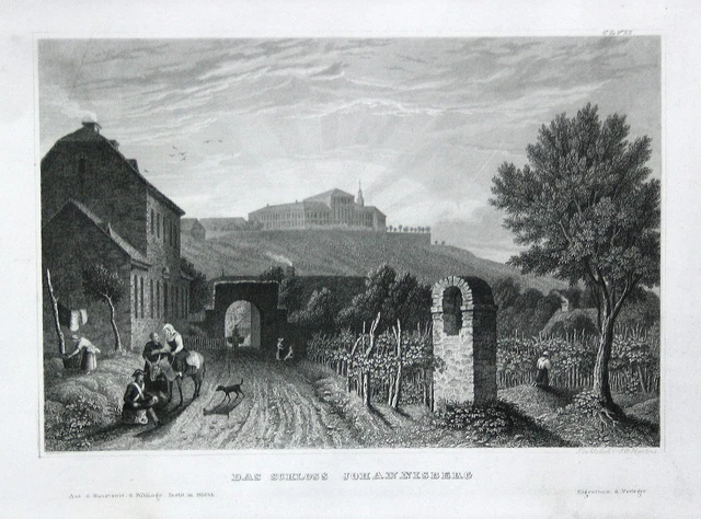 Castillo Johannisberg Rheingau Geisenheim Aspecto Grabado de Acero Grabado 1850