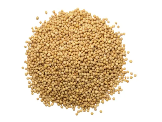 Yellow Mustard Seeds - Kosher, Raw, Vegan - by Food To Live 3