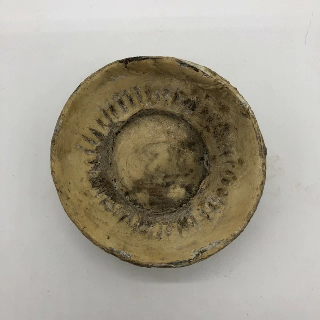 FS RARE VTG Japanese anatomical model Science anatomy Japan vintage