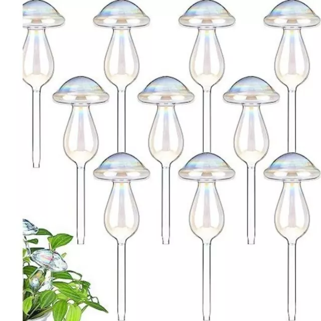 Self Watering Mushroom  Automatic Watering Device  Home Supplies