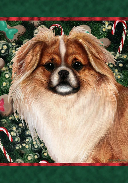 Christmas Holiday Garden Flag - Red and White Sable Tibetan Spaniel 144761