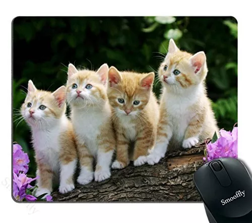 Kitten Flower Cute Funny Group Cat Mouse PadFour Cute Cats On A Branch Person...