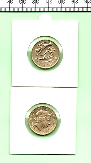 2013 Floral Series (Wales) Genuine Nickel-Brass Round Pound Coin (Cn-392)