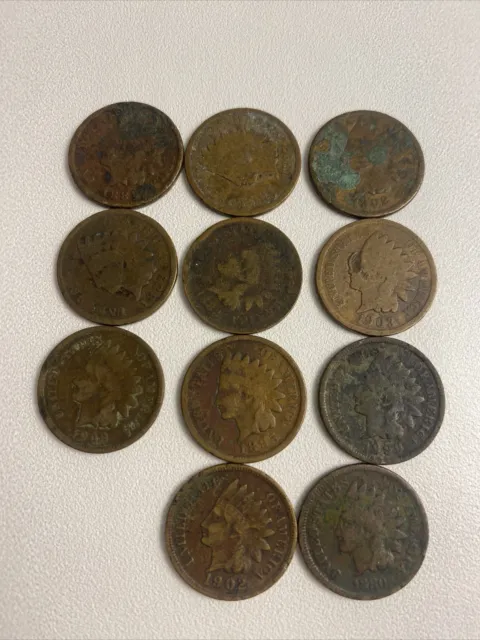 Indian Head Penny Lot Of 11